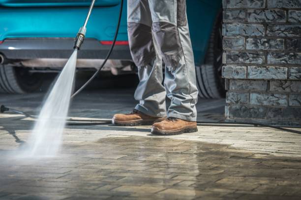 Best Gutter Cleaning  in Fairbank, IA