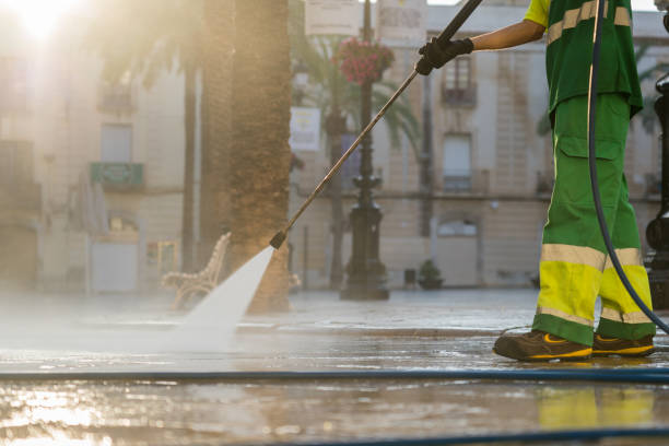 Best Animal Enclosure Cleaning  in Fairbank, IA
